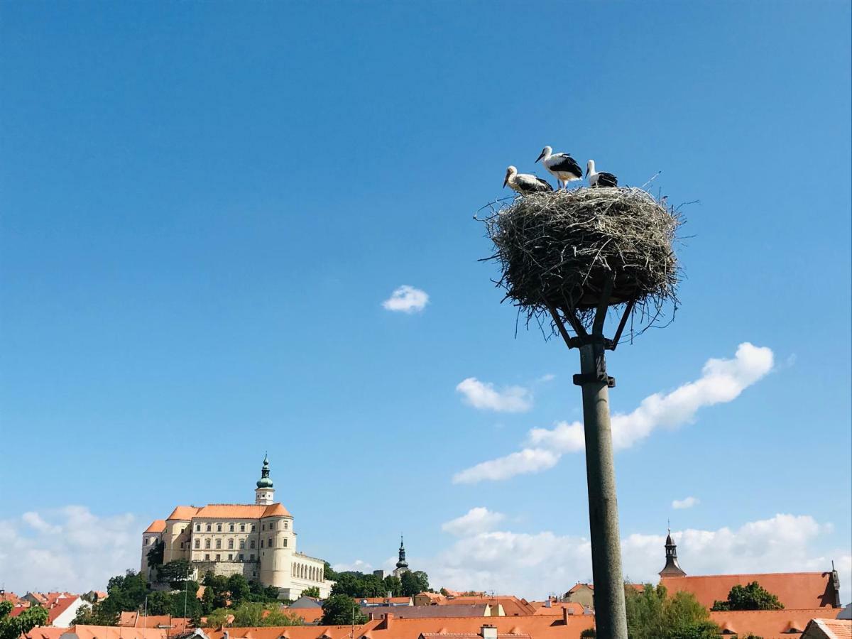 Penzion Cap Mikulov Bagian luar foto